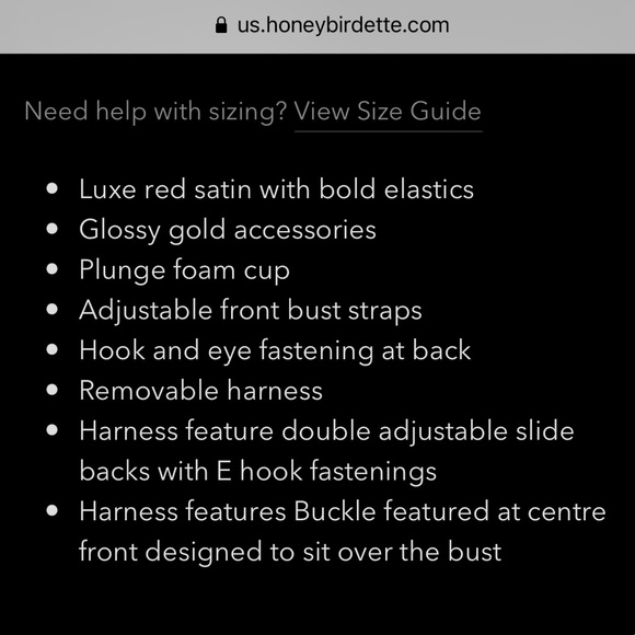 ❤️🔥 HONEY BIRDETTE GIA BRA & HARNESS NWT SIZE 32B RED - Picture 5 of 10